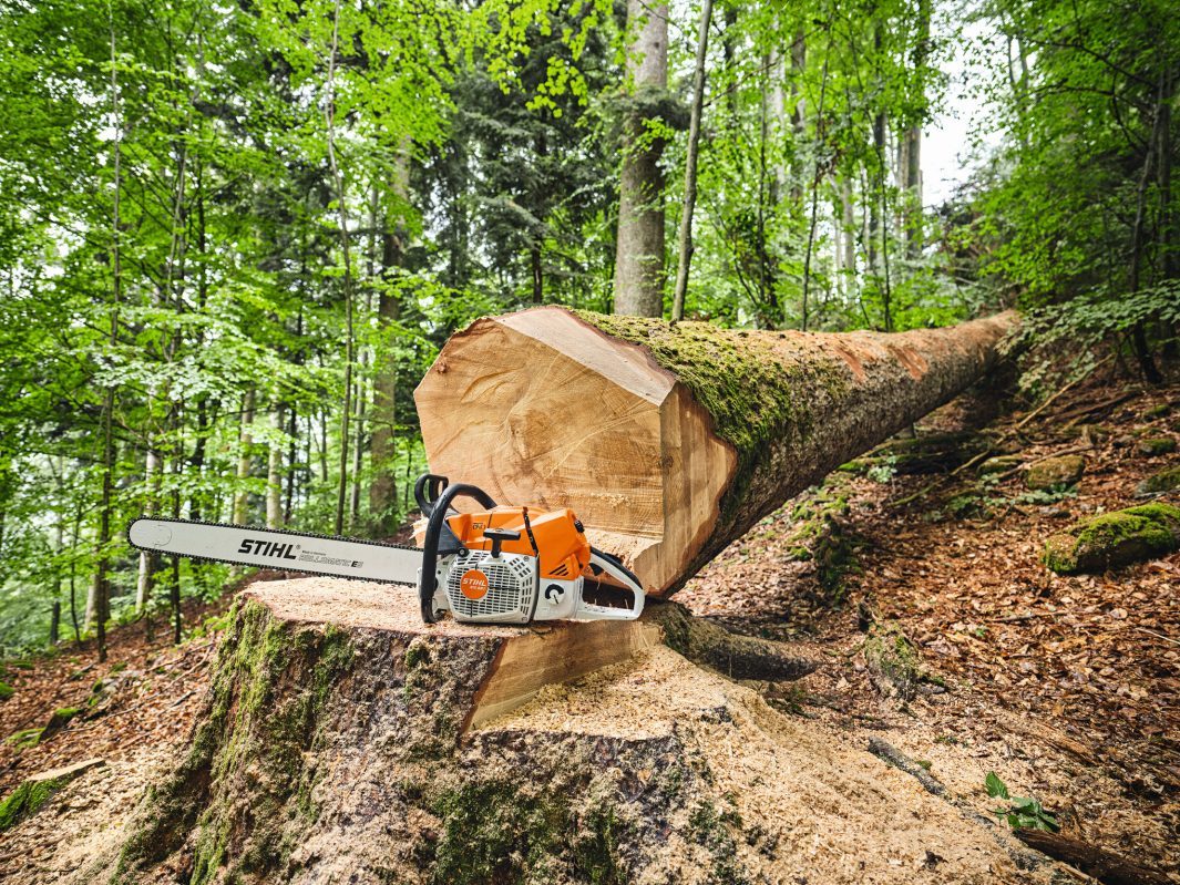 STIHL MS 881 Benzin-Motorsäge | .404″ RS Schneidgarnitur 63 cm – Produktansicht 4