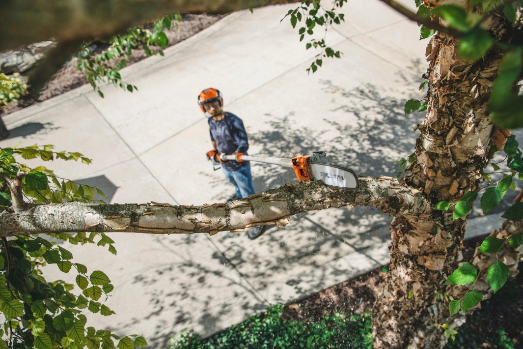 STIHL HT 135 Benzin-Hochentaster | 1/4″ PM3 Schneidgarnitur 30 cm – Produktansicht 3